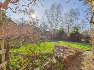 Side garden- click for photo gallery